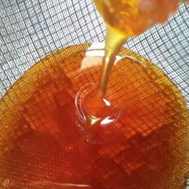 500ml mật ong hoa cà phê nguyên chất