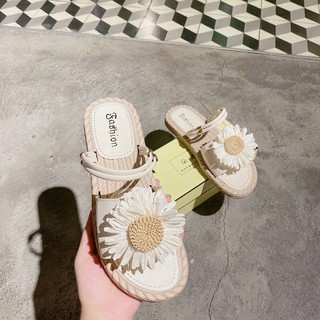Sandan hoa cúc đế cói- Siêu cute