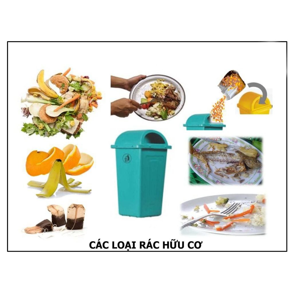 [SIÊU RẺ] EM GỐC Ủ CHUỐI, CÁ, PHÂN