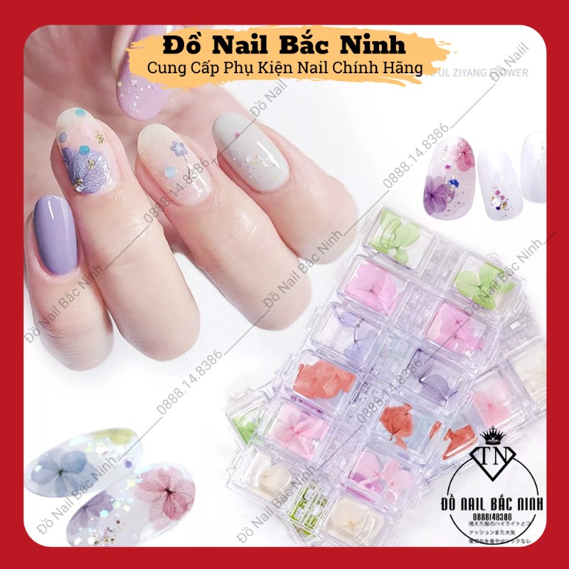 Hoa Khô San Hô Ẩn Móng, Trang Trí Nail 12 Màu Siêu Đẹp