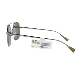 Kính Mát Unisex Emporio Armani EA2053