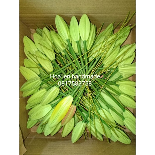 Nụ, nhụy hoa ly đất sét