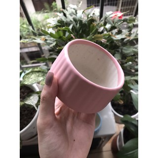 CHẬU SỨ BÁT TRÀNG MINI DECOR SIÊU XINH