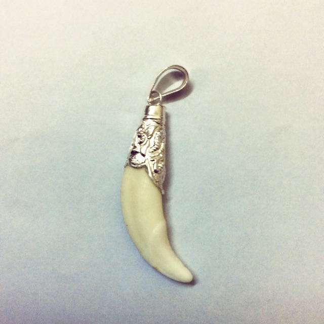 Nanh sói bọc bạc ta chính phẩm nanh sói thật 100%