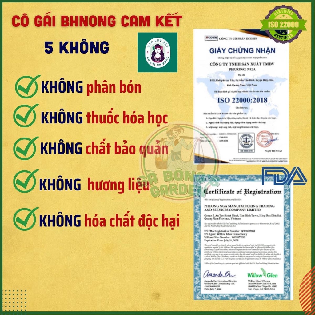 Bánh Mầm Gạo Lứt Ăn Kiêng Bhnong Giảm Cân Thực Dưỡng Hộp 250g