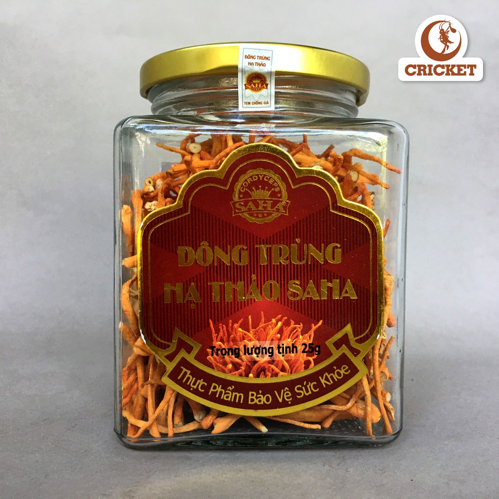 [Mã GROSALE2703 giảm 8% đơn 250K] Đông Trùng Hạ Thảo Cao Cấp Saha Hũ 25g - Đông Trùng Hạ Thảo Nguyên Trạng Sấy Khô