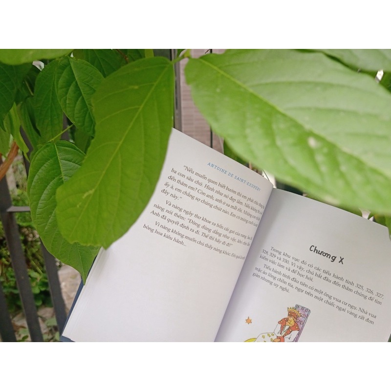 Sách-Hoàng Tử Bé