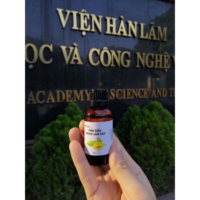 Tinh dầu Ngọc Lan Tây 10ml-50ml nguyên chất 100% của Viện Hàn Lâm KHCNVN