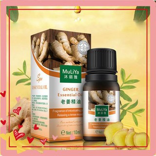 Tinh dầu thiên nhiên gừng,Tinh dầu nguyên chất ngải cứu hoa hồng lavander Lọ 10ml