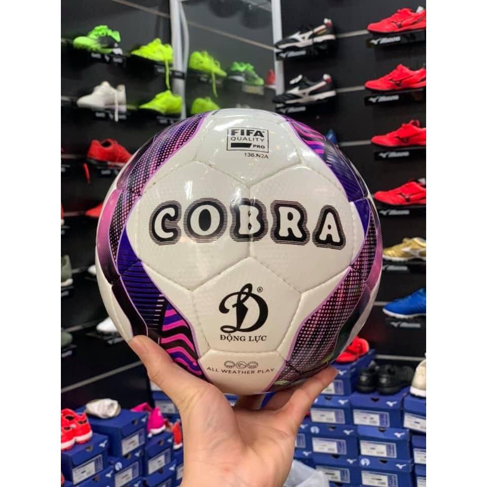 Bóng thi đấu V Leage 2021 Động lực Cobra 2.07