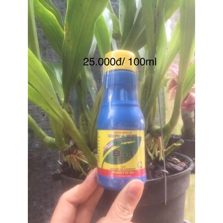 PHÂN BÓN LÁ VITAMIN B1 GROW MORE (Mỹ)