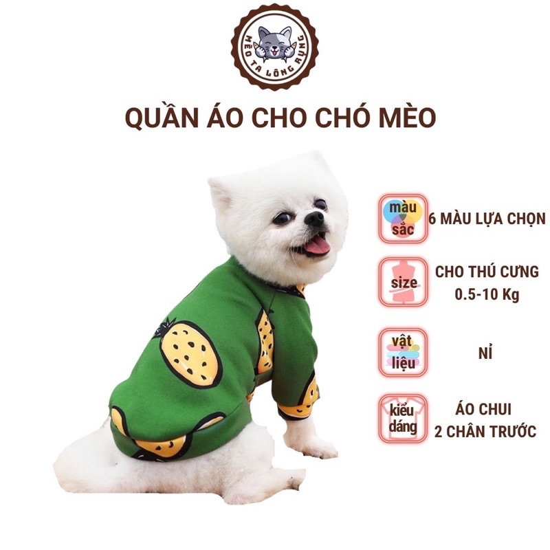 áo nỉ xinh xắn cho chó mèo thú cưng