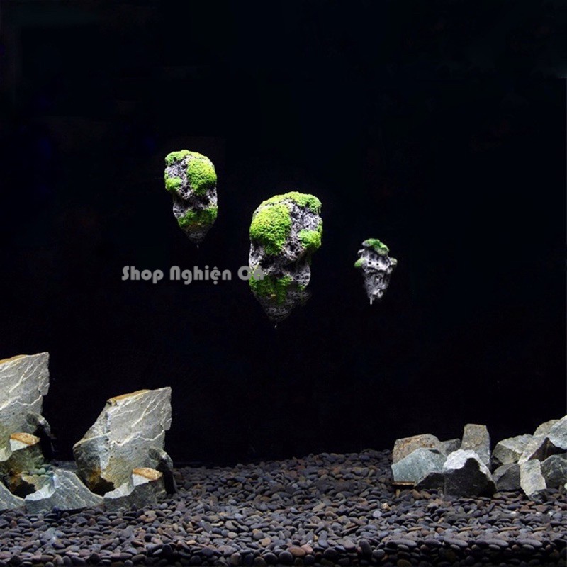 Đá Bay Avatar - Đá nổi trang trí hồ cá, hồ thủy sinh, phong thủy độc đáo