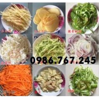 Máy thái rau củ quả đa năng