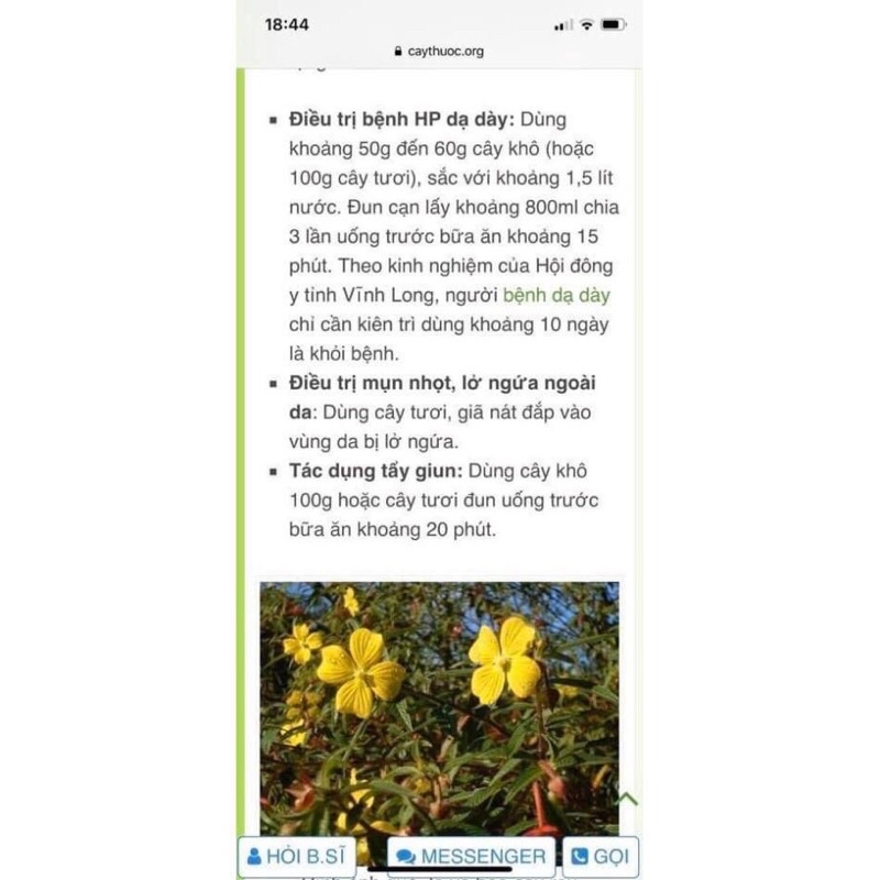 1 Kg Cây rau mương khô nhiều lá hàng loại 1