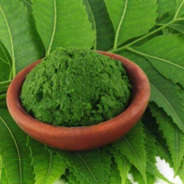 500gr Bột lá Neem đắp mặt giảm mụn Handmade
