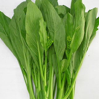 Hạt giống rau cải ngọt