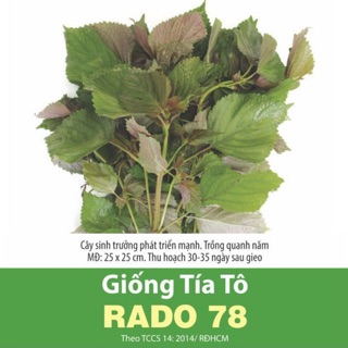 Hạt giống rau tía tô 78