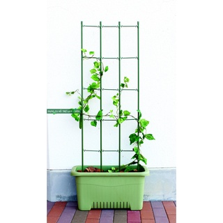 Khung trồng cây rộng 45 cao 150cm của nhật chuyên trồng cây leo giàn