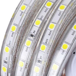 LED dây 220V 5050 5M