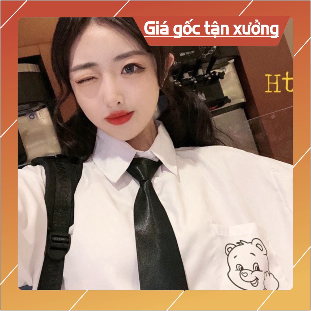Áo sơ mi gấu chào HT12