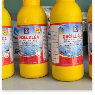 OSCILL ALGA- diệt ngoại ký sinh trùng, diệt nhanh trùng bánh xe, trùng quả dưa và xử lý hiệu quả đốm so