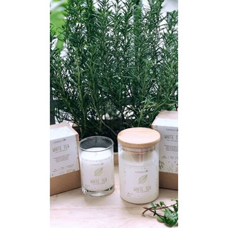 Nến Candle Cup