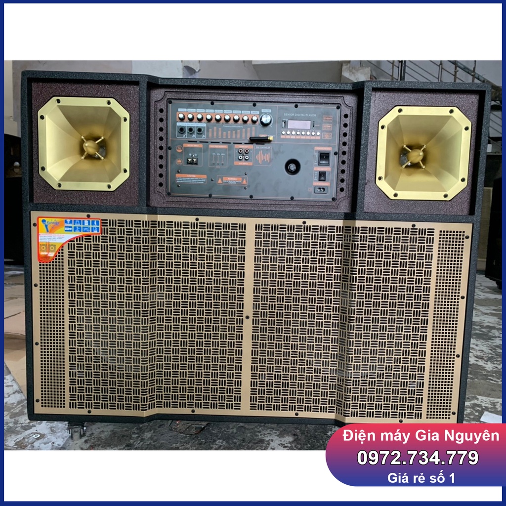 Loa bình 4 tấc đôi bo DSP Reverbx300W, kèn 450, coil 65x2, trung 12x2, kèm 2 micro UHF xịn, bảo hành 12 tháng