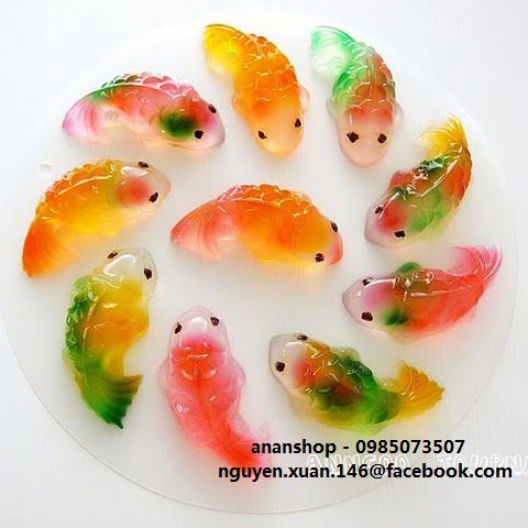 Khuôn silicon 6 cá koi