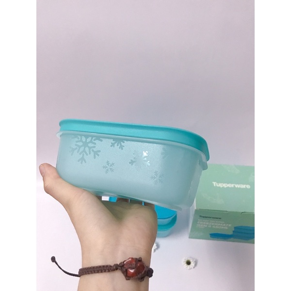 Bộ Hộp Trữ Đông cao cấp 450ml Freezermate Gen II đông dẻo tupperware