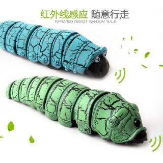 Lễ Tết Quê Hương - Con Sâu Kì Lạ