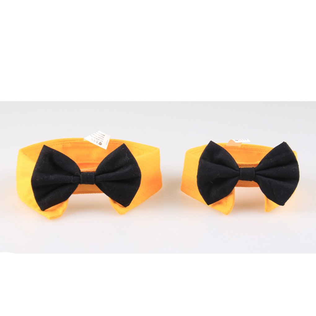 Vòng cổ nơ bướm cho thú cưng