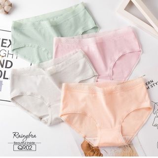 Combo5 quần cotton kháng khuẩn cạp lưới ms224