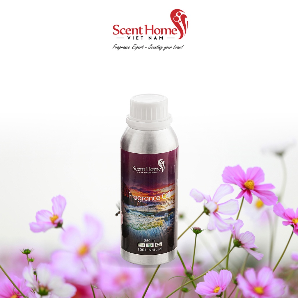 [Chính hãng] Tinh dầu Galsang Flower - ScentHomes (Galsang Flower - 50ml,100ml,250ml)