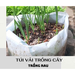 Túi Vải Trồng Cây Size 25*25
