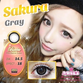 Sỉ Sakura gray