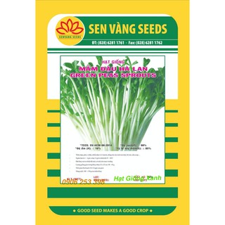 Hạt giống Rau Mầm Đậu Hà Lan Giàu dinh dưỡng Dễ trồng nhanh thu hoạch