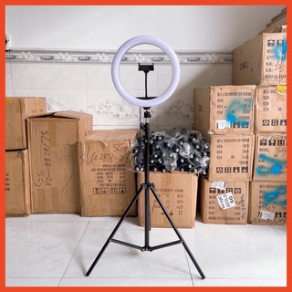 Bộ đèn livestream size 33cm cao 2m