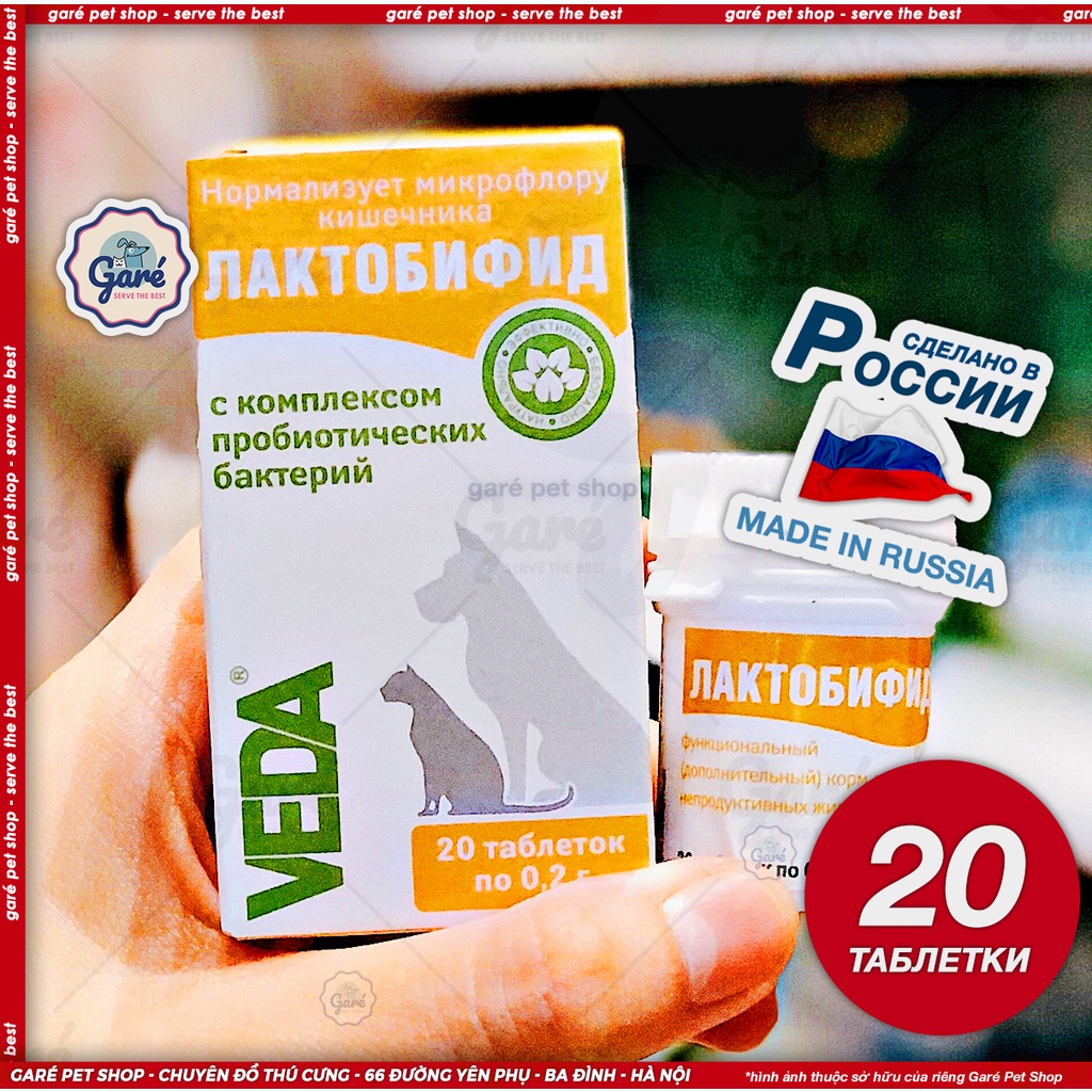 20v - Viên men vi sinh LACTOBIFID лактобифид dành cho Chó Mèo hàng nhập Nga VEDA