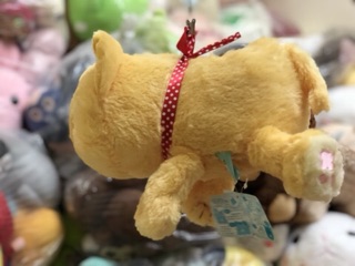 Đôi bạn thỏ,mèo,cáo- gấu bông (ảnh thật)