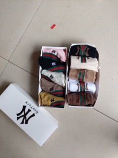 Combo 5 đôi tất nam Gucci cực đẹp