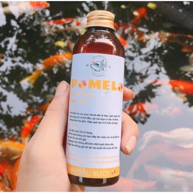 Pomelo pro tinh dầu bưởi mọc tóc