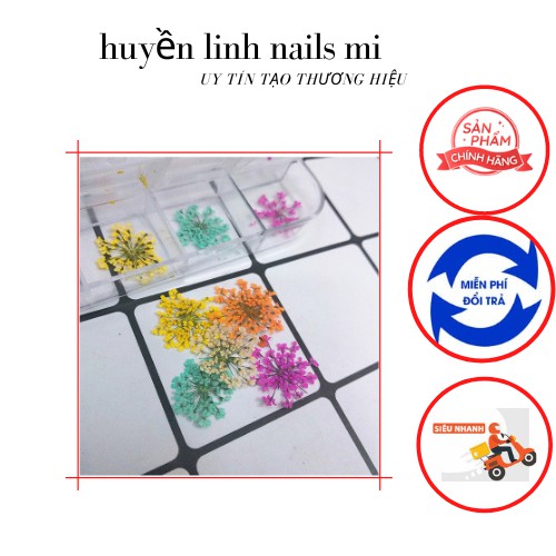 hoa khô ẩn gel