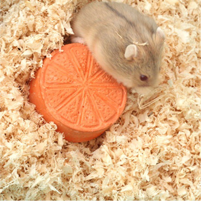 Lót chuồng hamster mùn cưa nén