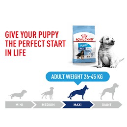 10kg,ROYAL CANIN MAXI PUPPY Dành cho chó có (cân nặng tối đa từ 26 - 44kg) và đang trong lứa tuổi Puppy từ 2 đến 15 thág