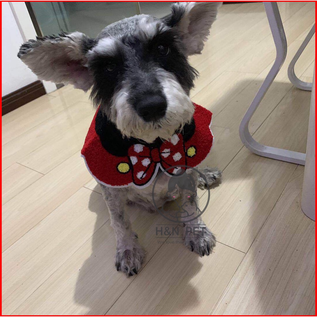 Yếm hoa choàng cổ chó mèo cao cấp H&amp;N PET