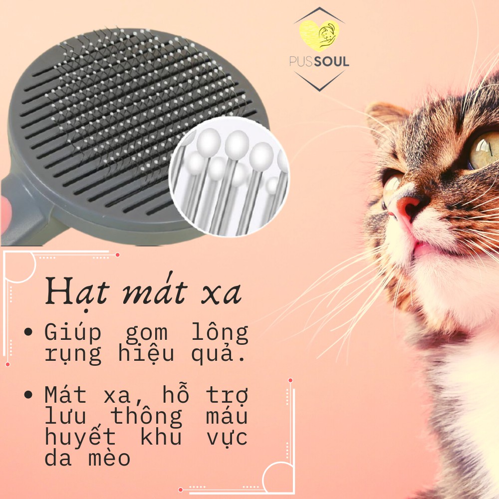 Cây lược chải cào cào lông mèo thế hệ 9 - New-generation cat comb