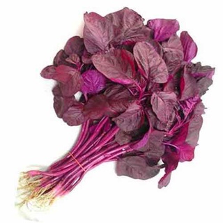 Hạt giống rau Dền Đỏ - Dền Tím 20gram