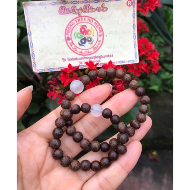 VÒNG DÂU TẰM GAI TRĂM NĂM TUỔI