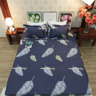Bộ ga, gối cotton 2m2